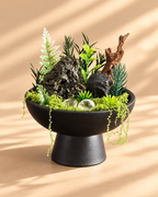 Woodland Onyx — Black Tourmaline Crystal Garden