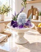 Violet Cloud — Amethyst & Clear Quartz Crystal Garden