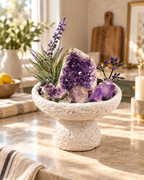 Amethyst Haven — Amethyst & Clear Quartz Crystal Garden