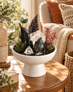 Shadow Grove — Black Tourmaline & Clear Quartz Crystal Garden