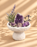 Amethyst Haven — Amethyst & Clear Quartz Crystal Garden