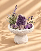 Amethyst Haven — Amethyst & Clear Quartz Crystal Garden