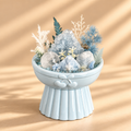 Glacier Blossom — Blue Calcite & Clear Quartz Crystal Garden