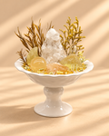 Sunlit Quartz — Citrine & Clear Quartz Crystal Garden