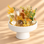 Autumn Clarity — Carnelian & Clear Quartz Crystal Garden