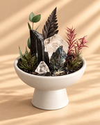 Shadow Grove — Black Tourmaline & Clear Quartz Crystal Garden