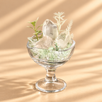 Crystal Whisper — Clear Quartz Crystal Garden