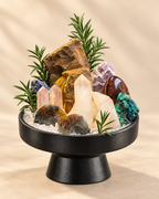 Ancient Meridian — Clear Quartz & Ammonite Fossil Crystal Garden