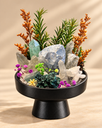 Crystal Grove — Clear Quartz Crystal Garden