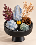 Blue Solstice — Kyanite & Celestite Crystal Garden
