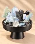 Icy Sentinel — Black Tourmaline & Clear Quartz Crystal Garden