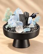Icy Sentinel — Black Tourmaline & Clear Quartz Crystal Garden
