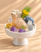 Morning Prism — Amethyst & Clear Quartz Crystal Garden