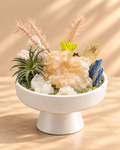 Blue Meridian — Blue Kyanite & Clear Quartz Crystal Garden