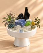 Azure Pillars — Black Tourmaline & Clear Quartz Crystal Garden
