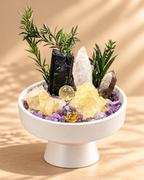 Golden Shadow — Black Tourmaline & Smoky Quartz Crystal Garden