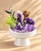 Violet Archive — Amethyst Crystal Garden
