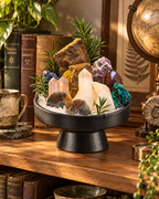 Ancient Meridian — Clear Quartz & Ammonite Fossil Crystal Garden