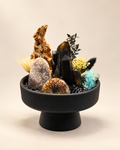 Nocturne Relic smoky quartz and ammonite crystal garden on a warm ivory background