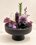 Violet Eclipse — Amethyst & Clear Quartz Crystal Garden on a soft neutral background