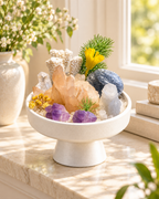 Morning Prism — Amethyst & Clear Quartz Crystal Garden