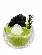 Black Tourmaline Mini Crystal Garden