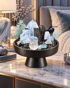 Icy Sentinel — Black Tourmaline & Clear Quartz Crystal Garden