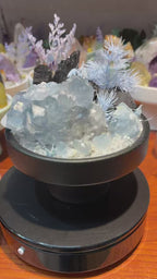 Blue Fluorite Crystal Garden