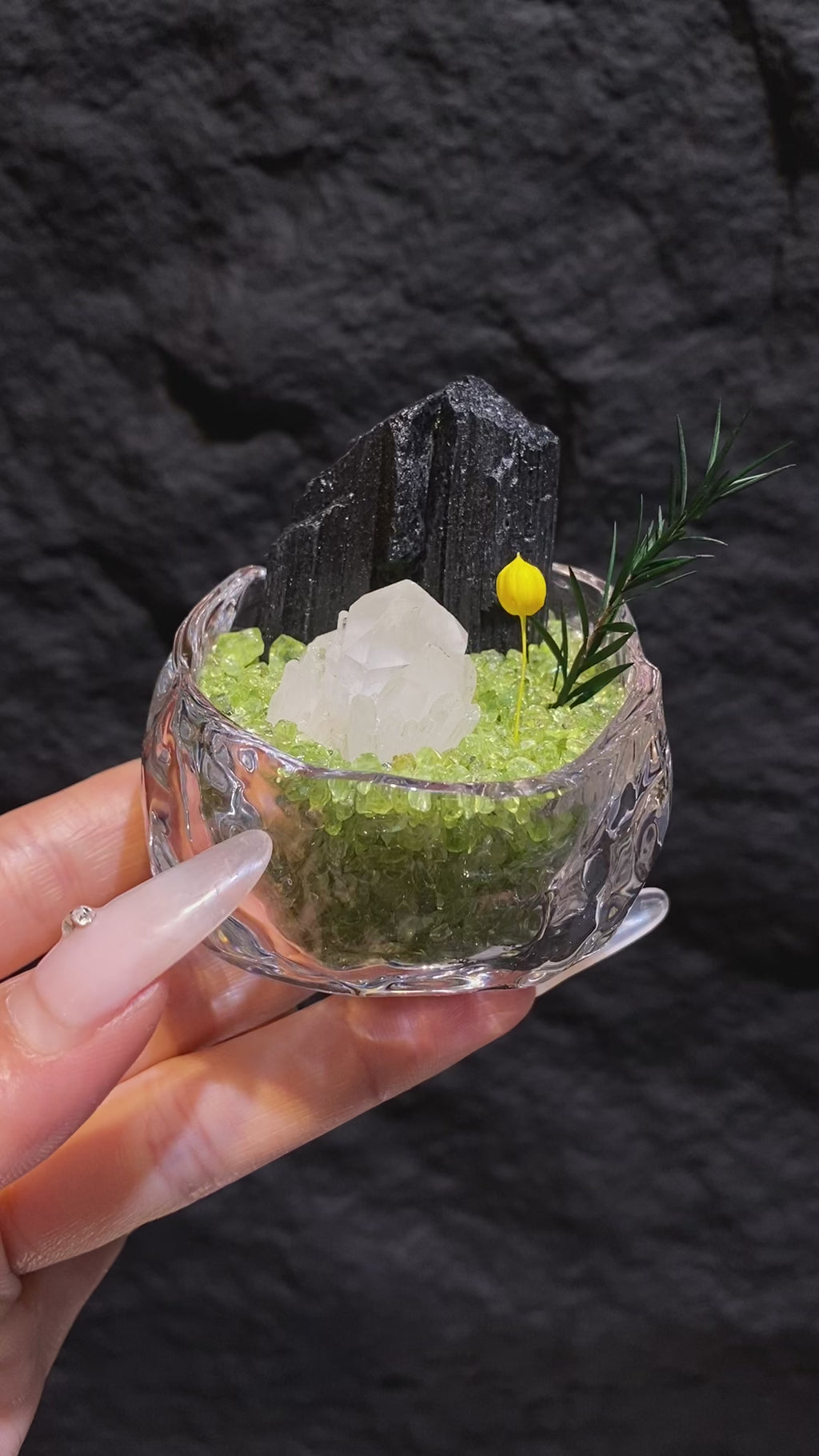 Black Tourmaline Mini Crystal Garden