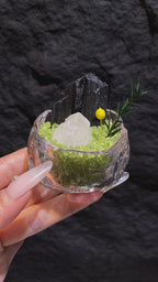 Black Tourmaline Mini Crystal Garden