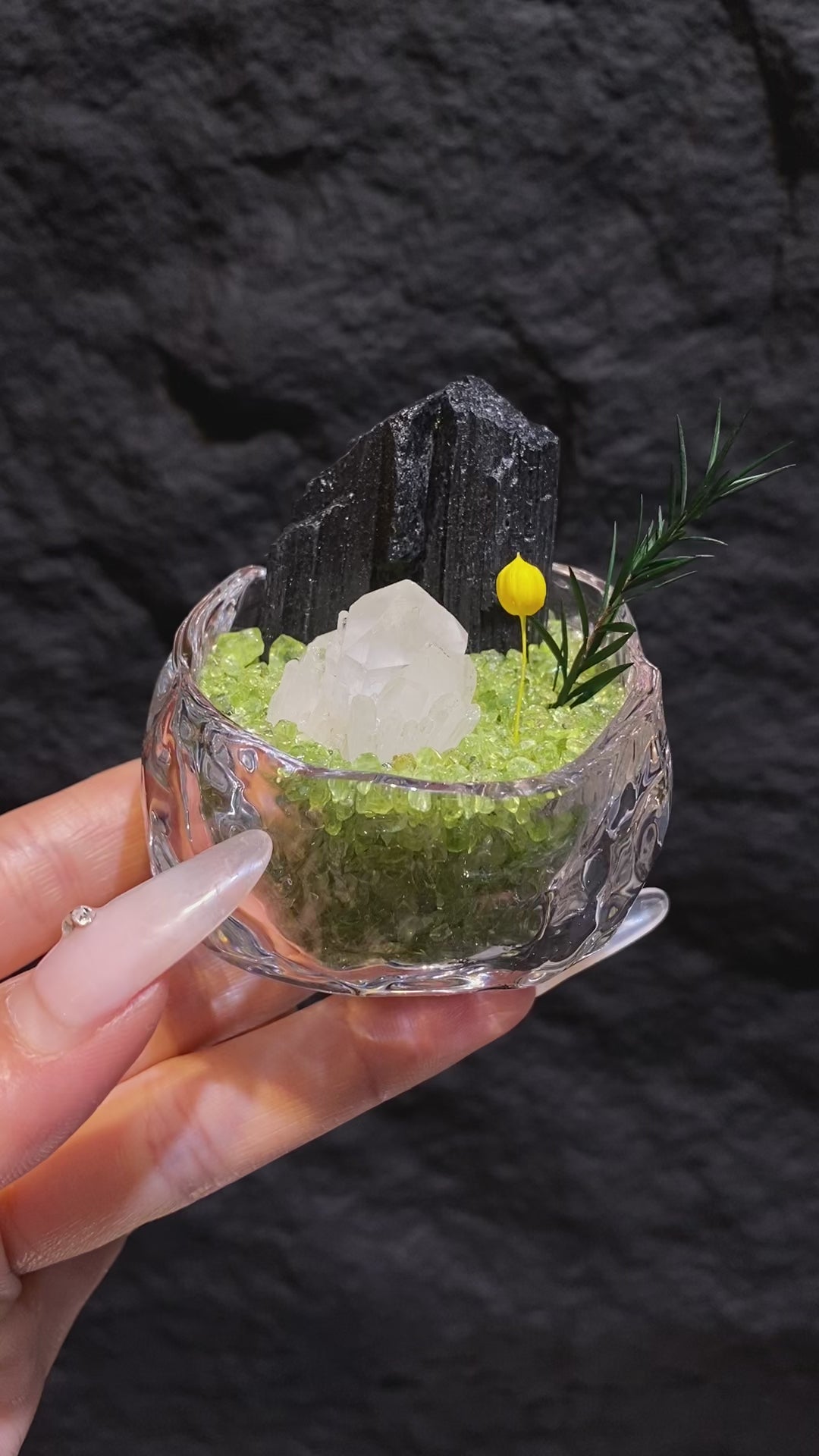 Black Tourmaline Mini Crystal Garden